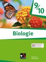 bokomslag Biologie Niedersachsen 9/10