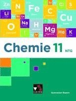 bokomslag Chemie Bayern 11 NTG