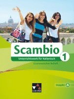 bokomslag Scambio A. Grammatisches Beiheft 1