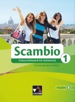 bokomslag Scambio B 1 Grammatisches Beiheft