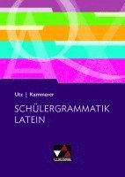 bokomslag Schülergrammatik Latein