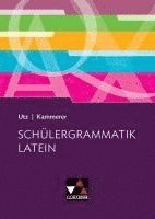 bokomslag Schülergrammatik Latein