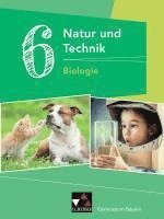 bokomslag Natur und Technik 6: Biologie