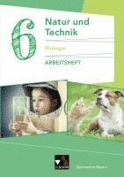 bokomslag Natur und Technik 6: Biologie AH Gymnasium Bayern