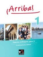 Melanie Hohmann, Anna Christina Schmidt, Sabine Wolf-Zappek, Melanie Hohmann - ¡Arriba! Grammatisches Beiheft 1, Häftad