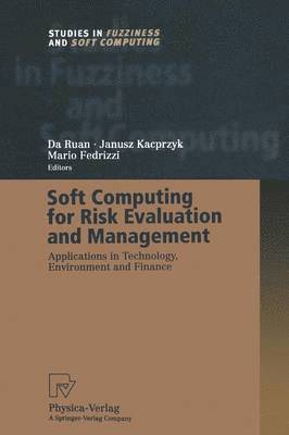 bokomslag Soft Computing for Risk Evaluation and Management