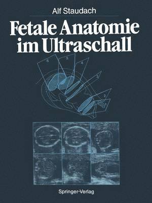 Fetale Anatomie im Ultraschall 1