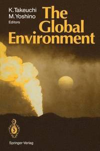 bokomslag The Global Environment