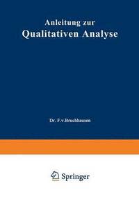 bokomslag Anleitung zur Qualitativen Analyse