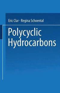 bokomslag Polycyclic Hydrocarbons