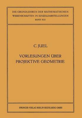 bokomslag Vorlesungen über Projektive Geometrie