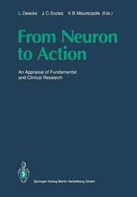 bokomslag From Neuron to Action