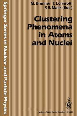 bokomslag Clustering Phenomena in Atoms and Nuclei