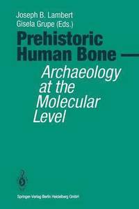 bokomslag Prehistoric Human Bone