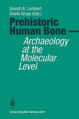 Prehistoric Human Bone 1