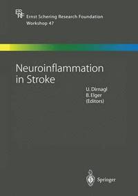 bokomslag Neuroinflammation in Stroke