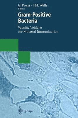 bokomslag Gram-Positive Bacteria