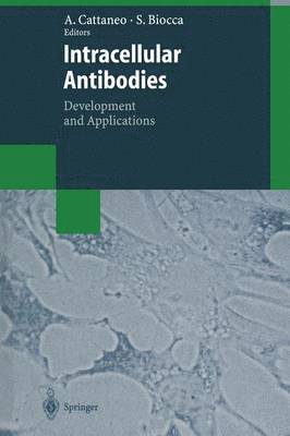 Intracellular Antibodies 1