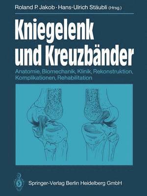 Kniegelenk und Kreuzbnder 1