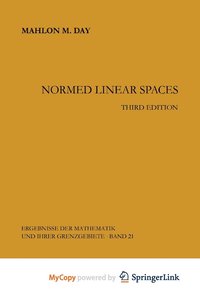 bokomslag Normed Linear Spaces