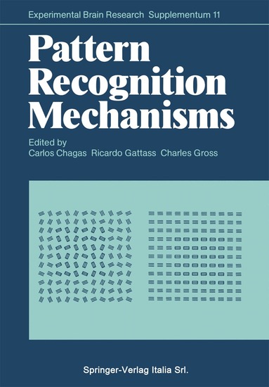 Carlos Chagas, Ricardo Gattass, Charles Gross - Pattern Recognition Mechanisms, Häftad