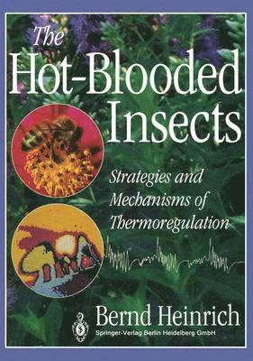 bokomslag Hot-Blooded Insects