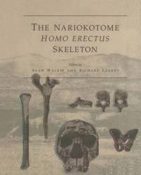 bokomslag The Nariokotome Homo Erectus Skeleton