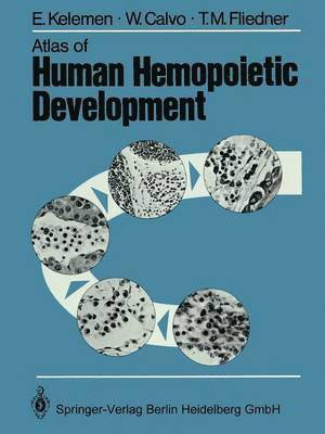 E. Kelemen, W. Calvo, T.M. Fliedner, T. M. Fliedner - Atlas of Human Hemopoietic Development, Häftad