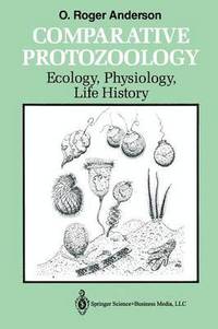 bokomslag Comparative Protozoology