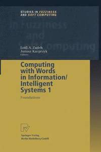 bokomslag Computing with Words in Information/Intelligent Systems 1