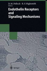 bokomslag Endothelin Receptors and Signaling Mechanisms