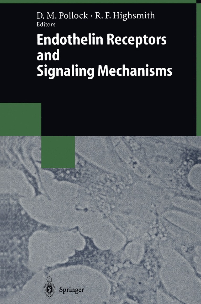 David M. Pollock, Robert F. Highsmith - Endothelin Receptors and Signaling Mechanisms, Häftad