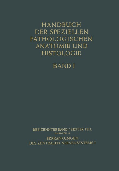 J. Springer, G. Bodechtel - Erkrankungen des zentralen Nervensystems I, Häftad