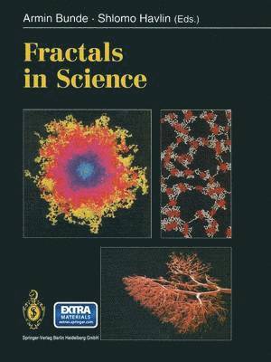 bokomslag Fractals in Science