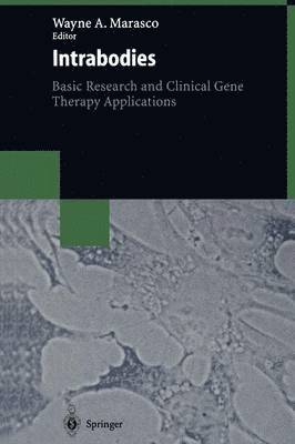 Wayne A. Marasco - Intrabodies, Häftad
