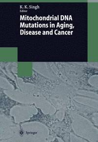 bokomslag Mitochondrial DNA Mutations in Aging, Disease and Cancer