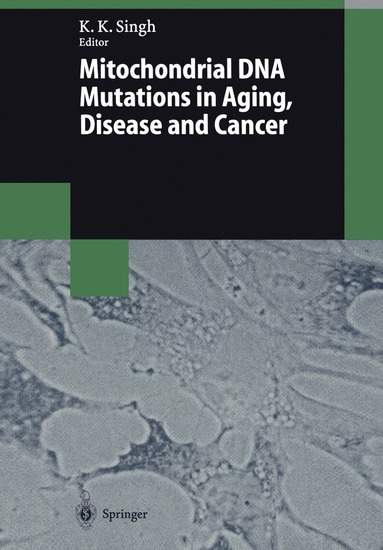 bokomslag Mitochondrial DNA Mutations in Aging, Disease and Cancer