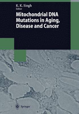 Keshav K. Singh - Mitochondrial DNA Mutations in Aging, Disease and Cancer, Häftad