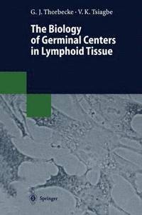 bokomslag The Biology of Germinal Centers in Lymphoid Tissue