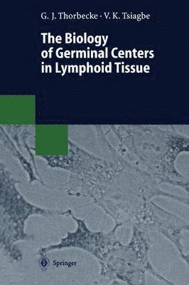 bokomslag The Biology of Germinal Centers in Lymphoid Tissue