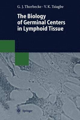 G. Jeanette Thorbecke, Vincent K. Tsiagbe - Biology of Germinal Centers in Lymphoid Tissue, Häftad