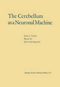 bokomslag The Cerebellum as a Neuronal Machine