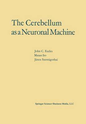 The Cerebellum as a Neuronal Machine 1
