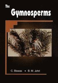 bokomslag The Gymnosperms