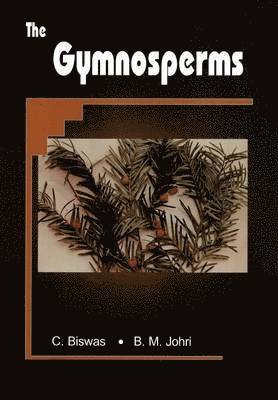 The Gymnosperms 1