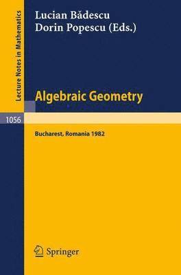 bokomslag Algebraic Geometry