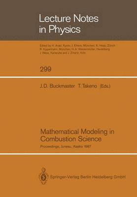 John D. Buckmaster, Tadao Takeno - Mathematical Modeling in Combustion Science, Häftad