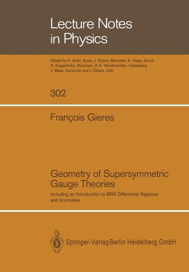 bokomslag Geometry of Supersymmetric Gauge Theories