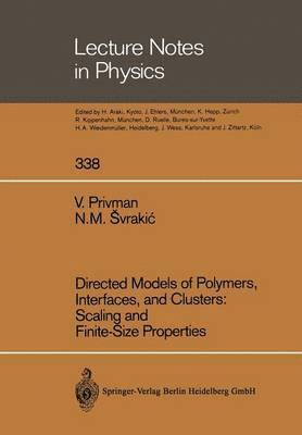 Vladimir Privman, Nenad M. Svrakic - Directed Models of Polymers, Interfaces, and Clusters: Scaling and Finite-Size Properties, Häftad