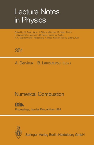 Alain Dervieux, Bernard Larrouturou - Numerical Combustion, Häftad
